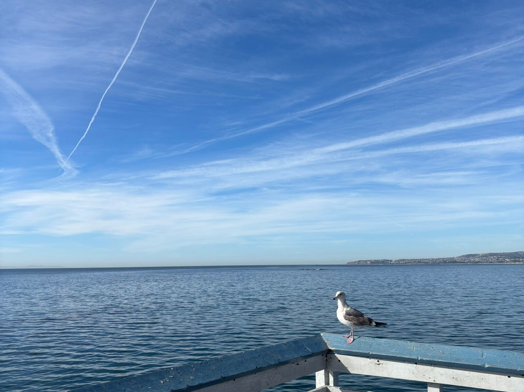 San Clemente Pier-圣克莱蒙顿必去景点