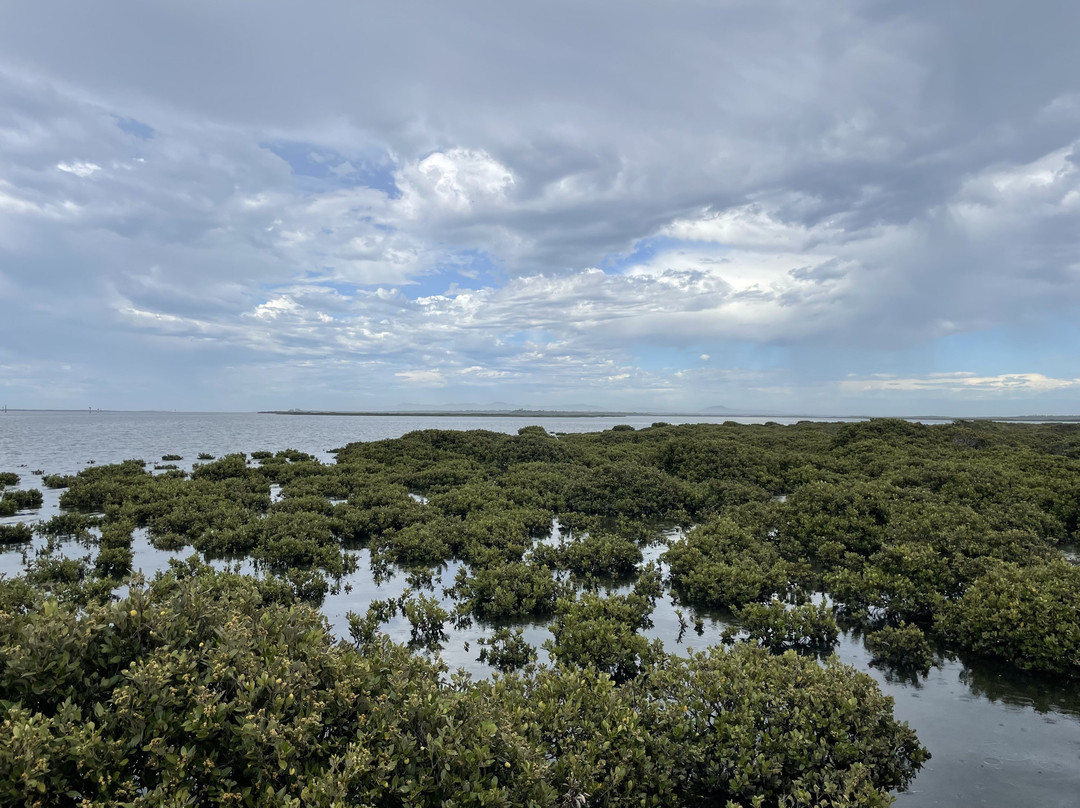 Christopher Robinson Walking Trail-Port Albert必去景点