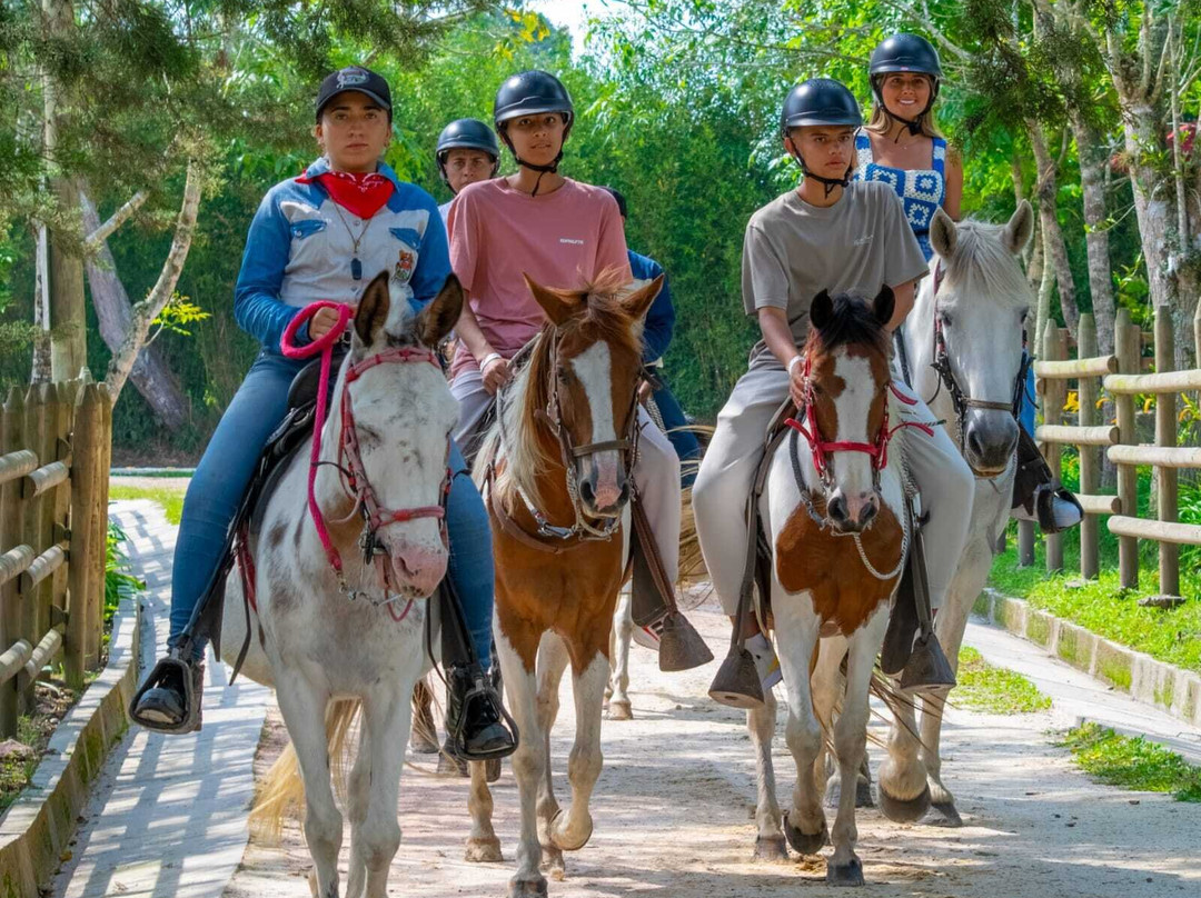 Pony Parque Hotel Mesa de Los Santos景点图片