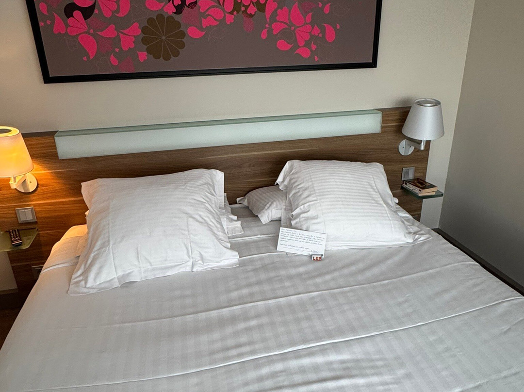 Hotel Mercure Cholet Centre主图