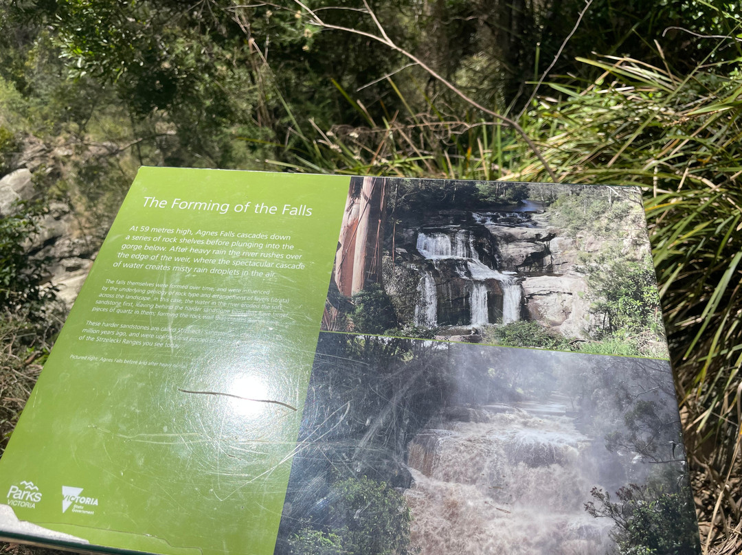 Agnes Falls-Hazel Park必去景点