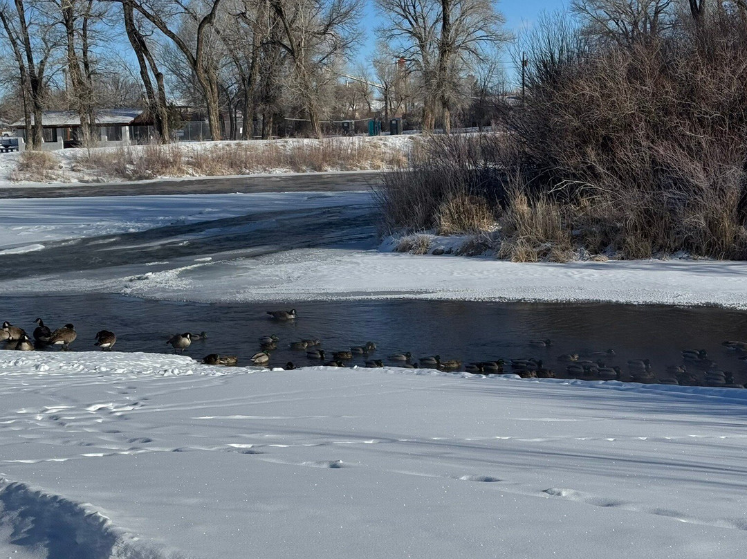 Hobo Hot Pool-Saratoga必去景点