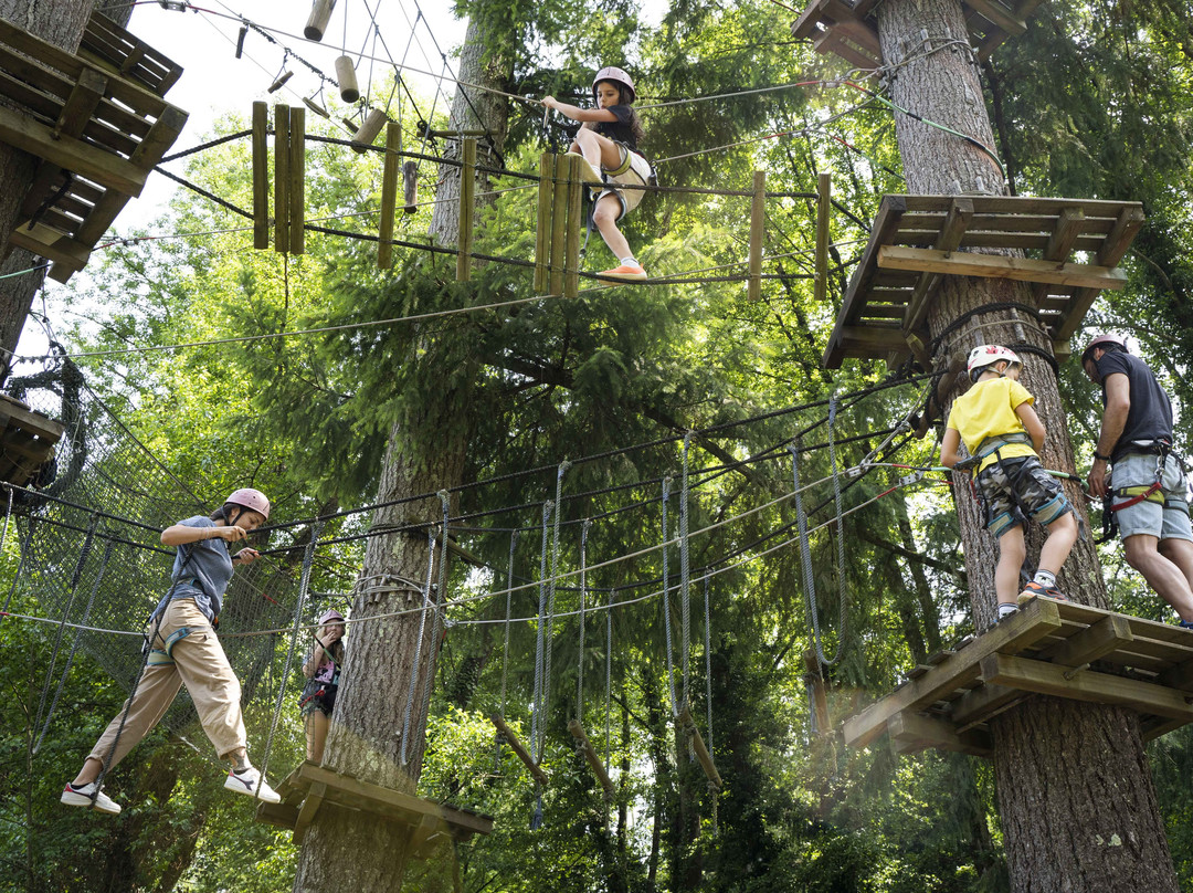 Associazione Adrenalina Parco Avventura Casentino景点图片