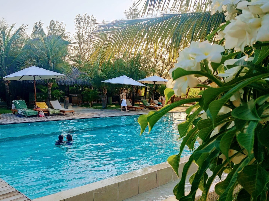 Hotel Vila Selvagem主图