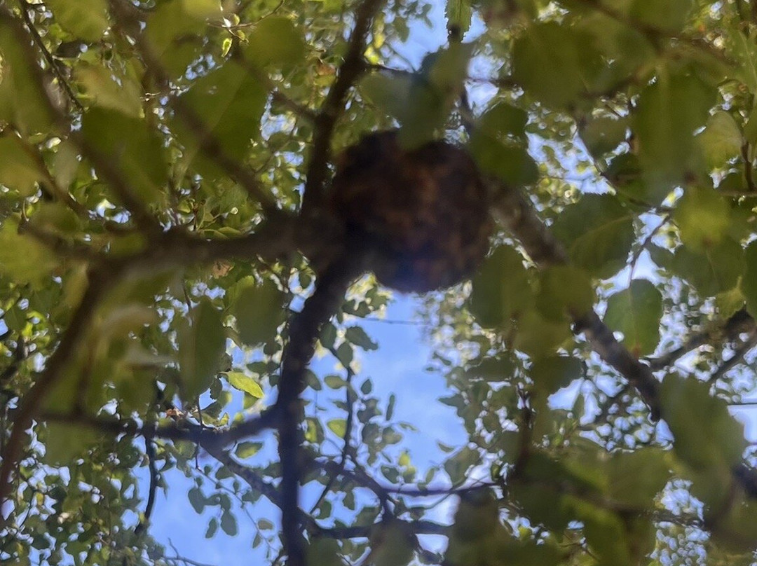 Hotel Vivo Montaña主图