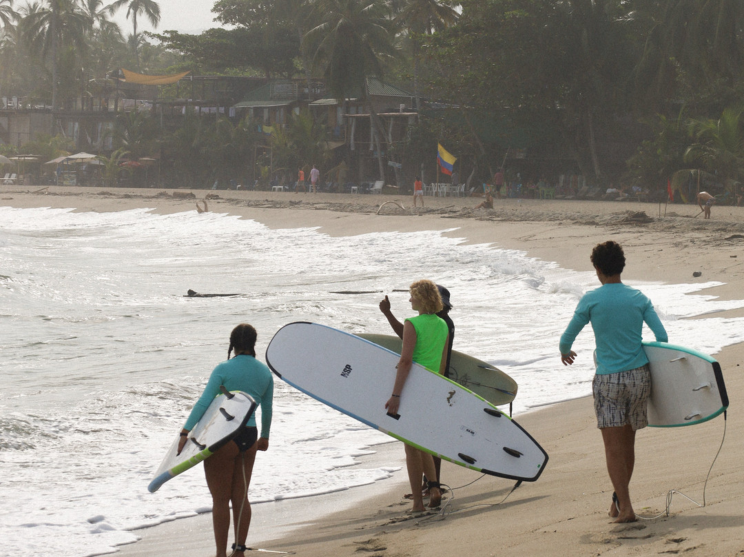 Onboard Surfschool景点图片