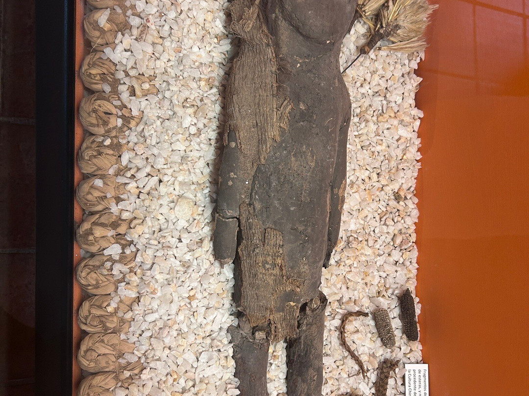 科尔加瓜博物馆-圣克鲁斯必去景点