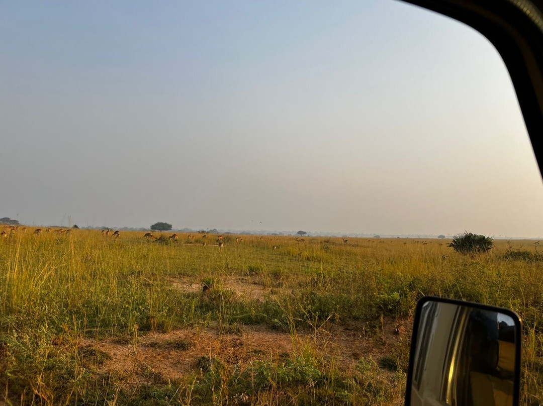 Cream Tours & Safaris-Mbarara必去景点
