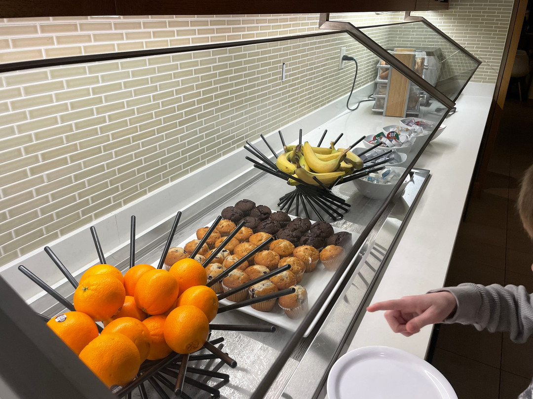 布鲁明顿凯悦嘉轩酒店主图