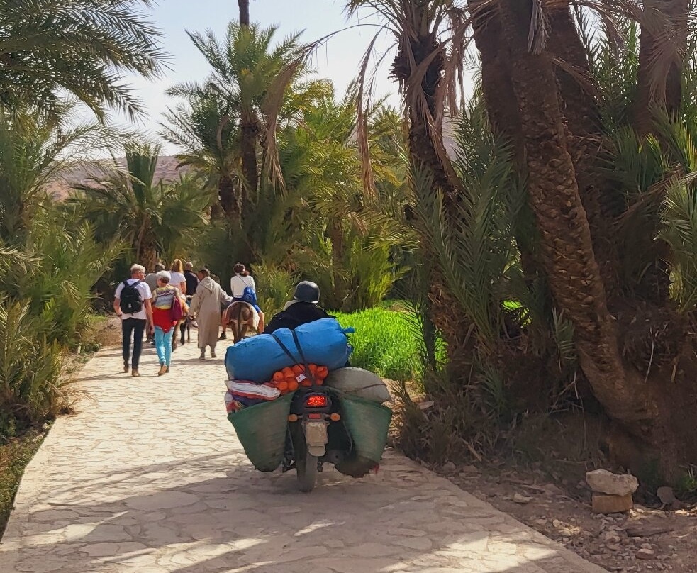 Kasbah of Tiout-Tiout必去景点