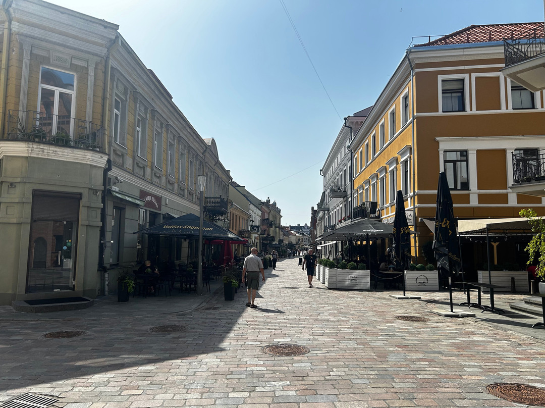 Kaunas Old Town-考那斯必去景点