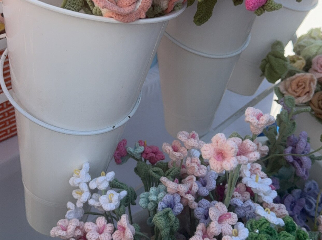 德克萨斯州-达拉斯必去景点