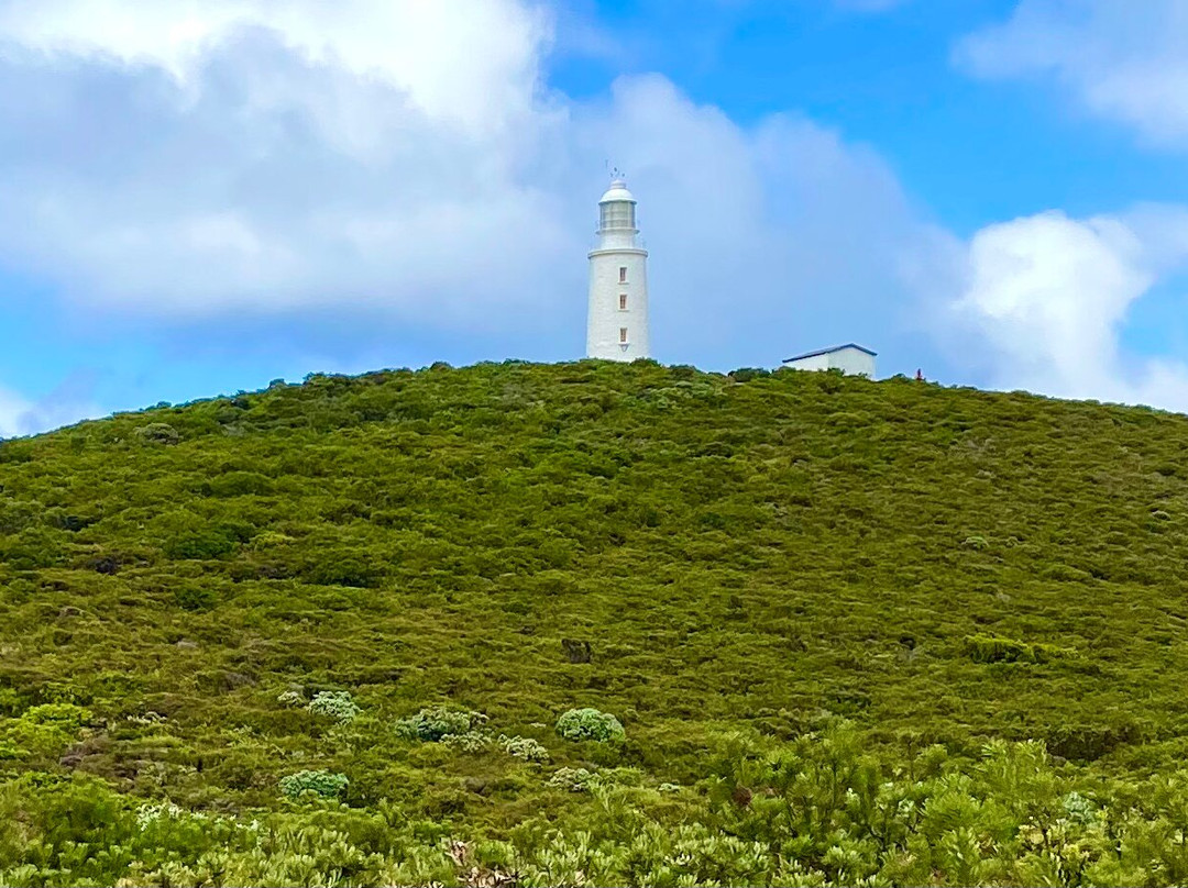Cape Bruny Lighthouse Tours景点图片