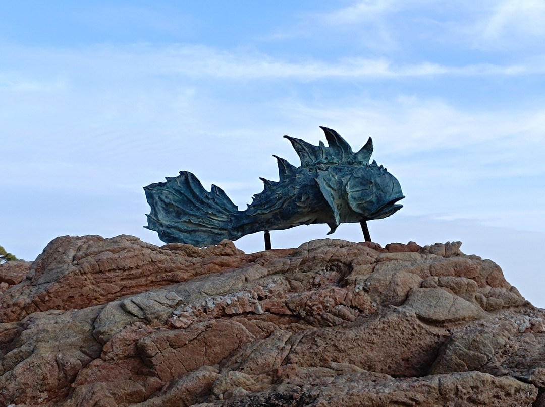 Tamariu Beach景点图片