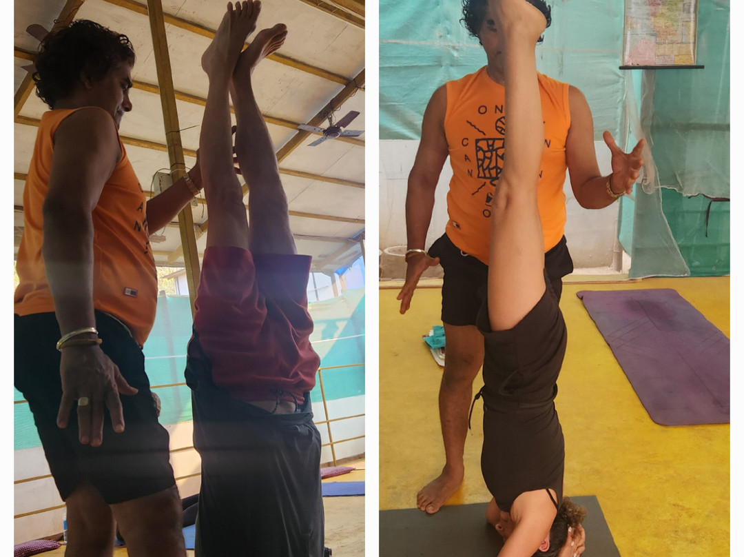 Shiva Yoga Centre景点图片