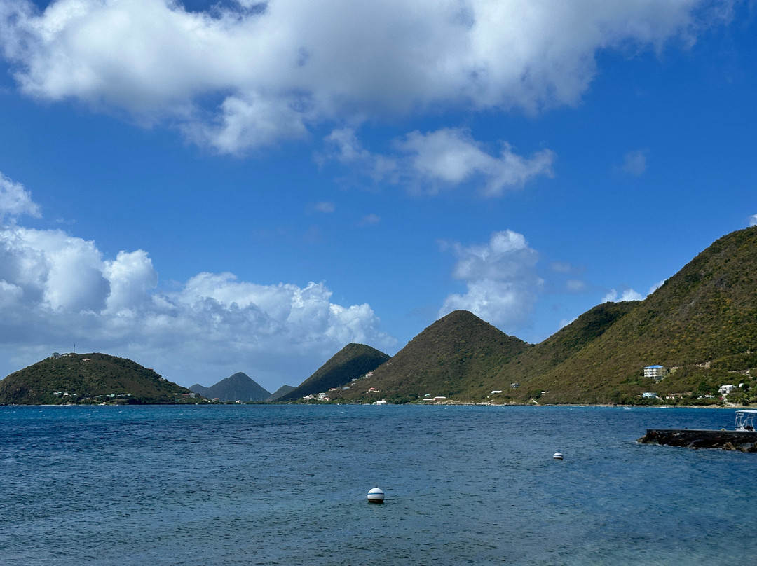 Fort Recovery Beachfront Villa & Suites主图