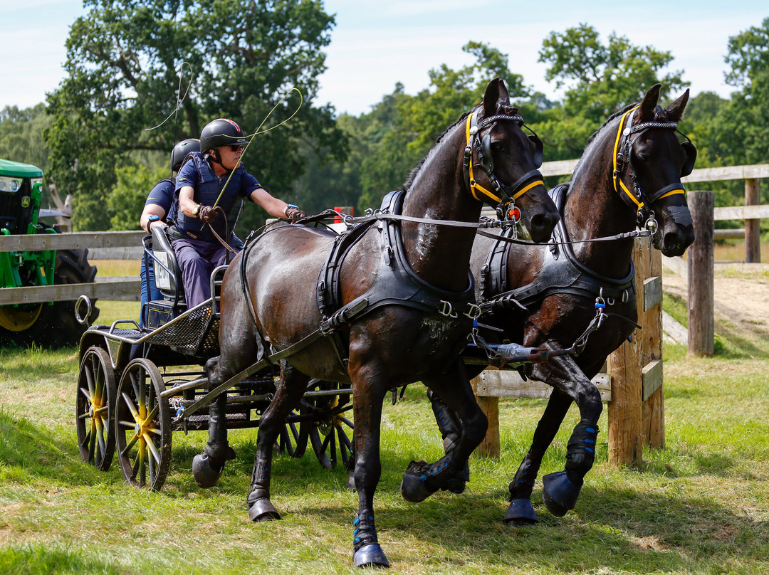 Sandringham Festival Of Carriage Driving 2025-Sandringham必去景点
