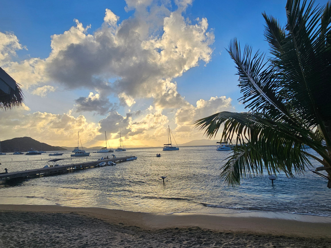 Turquoise Turtle Charters-圣 托马斯必去景点