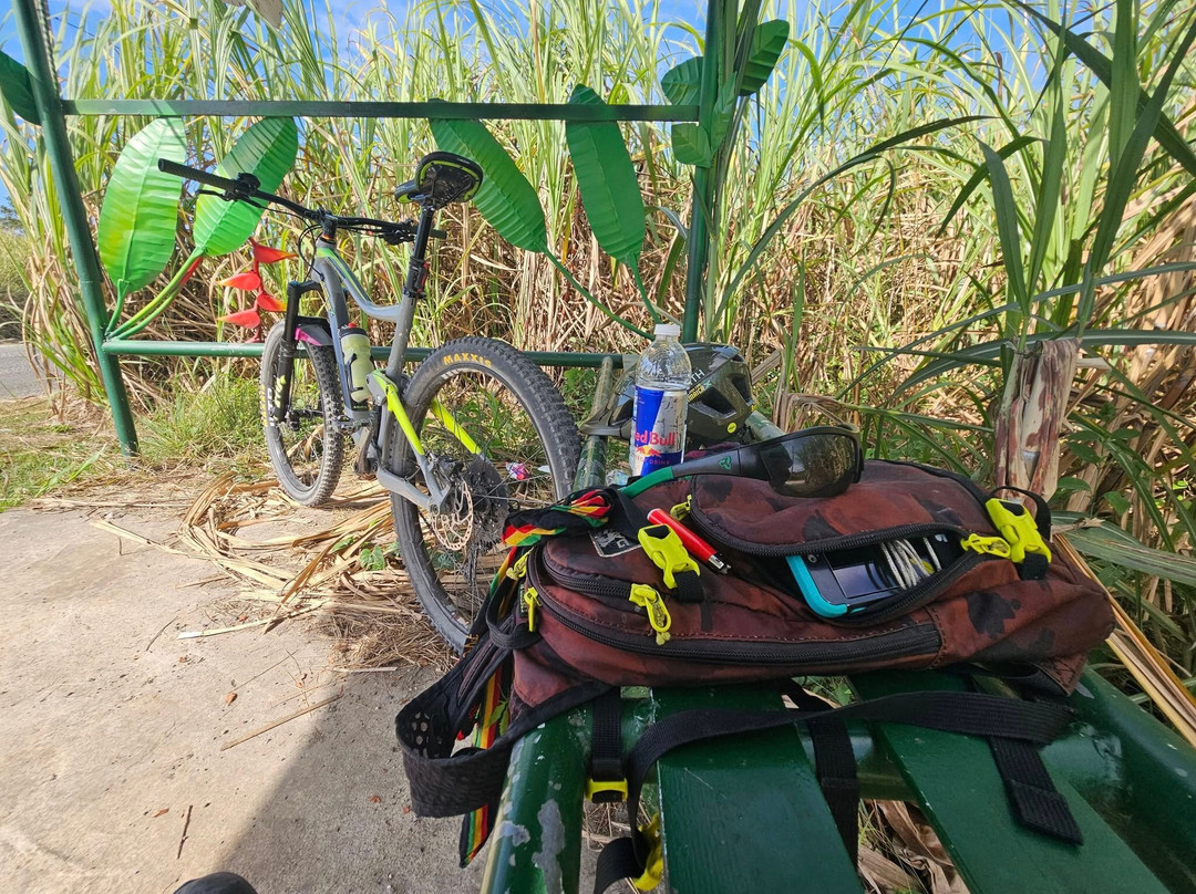 Zion Mountain Bike Adventures景点图片