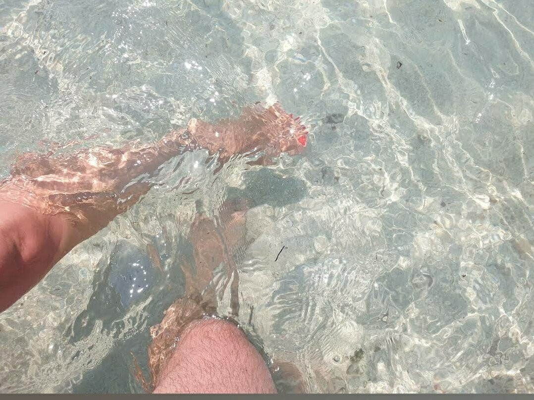 Spiaggia di Punta Prosciuto景点图片