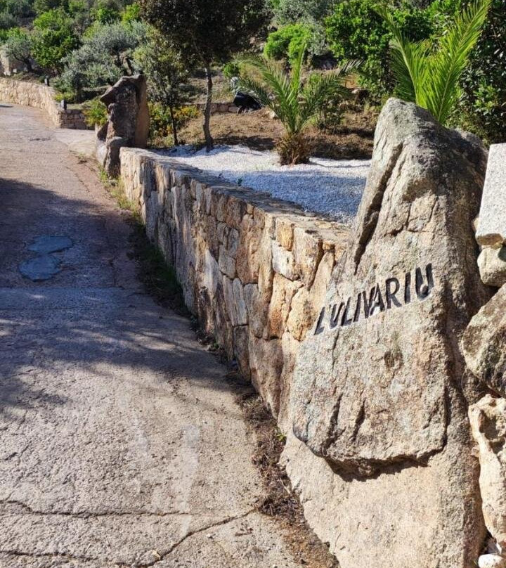 Casa L'Ulivariu Bed & Breakfast