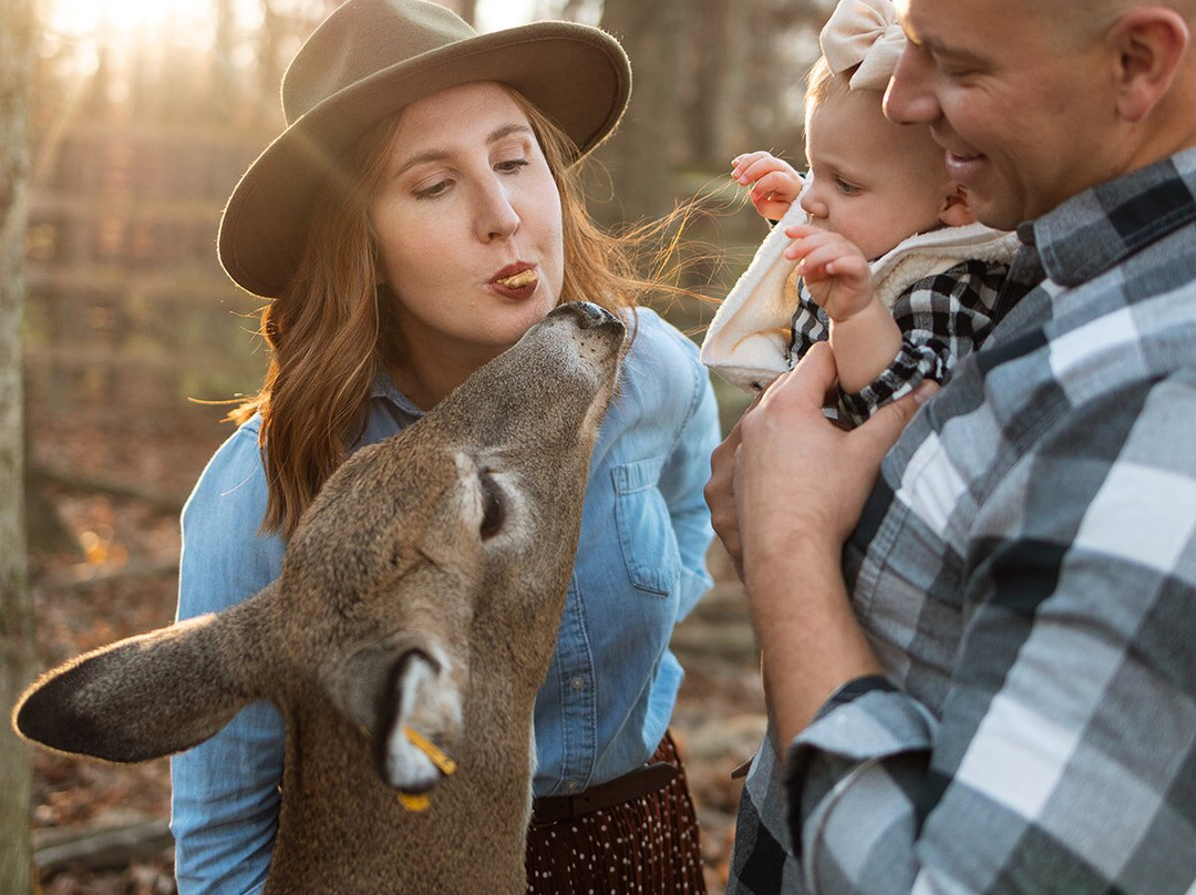 Olentangy Caverns | Rock & Gem Shop-Delaware必去景点