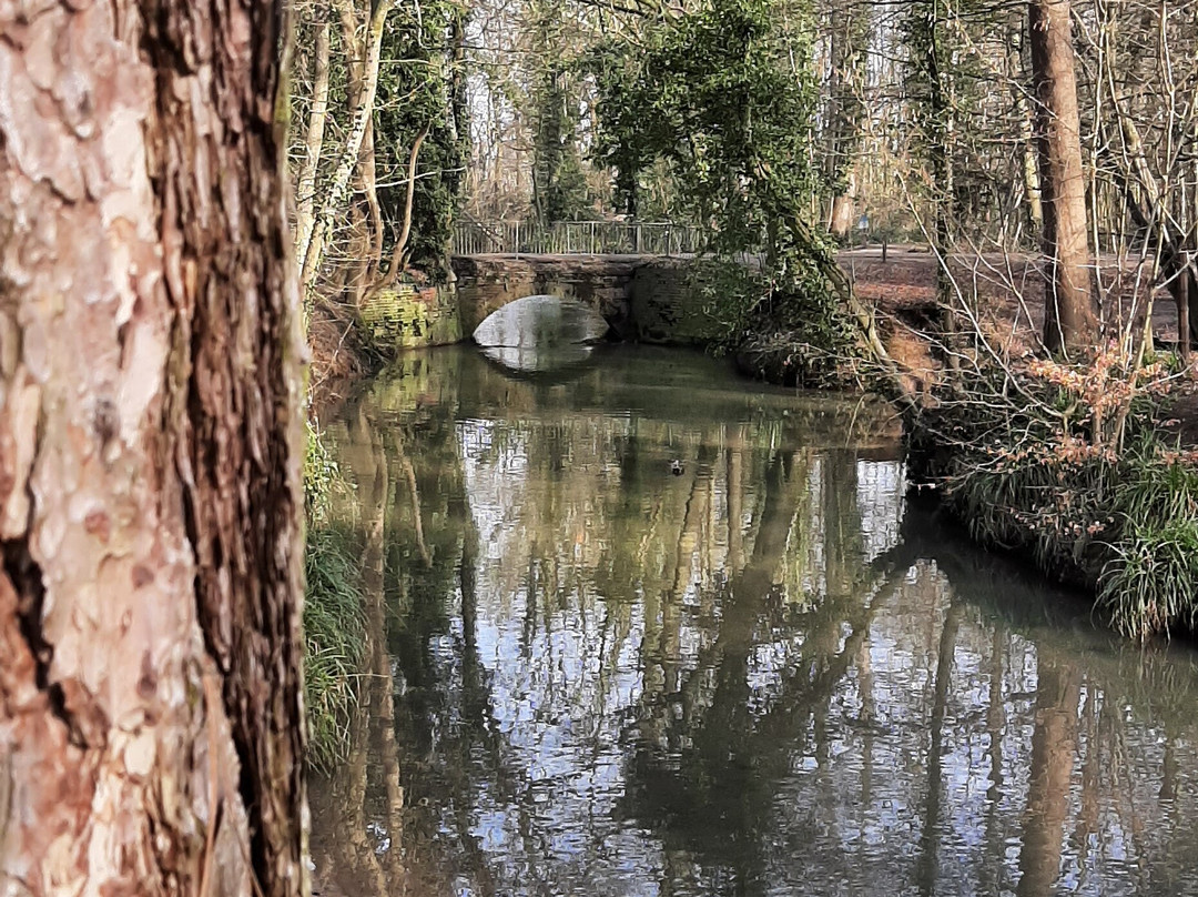 Coombe Abbey Park-考文垂必去景点