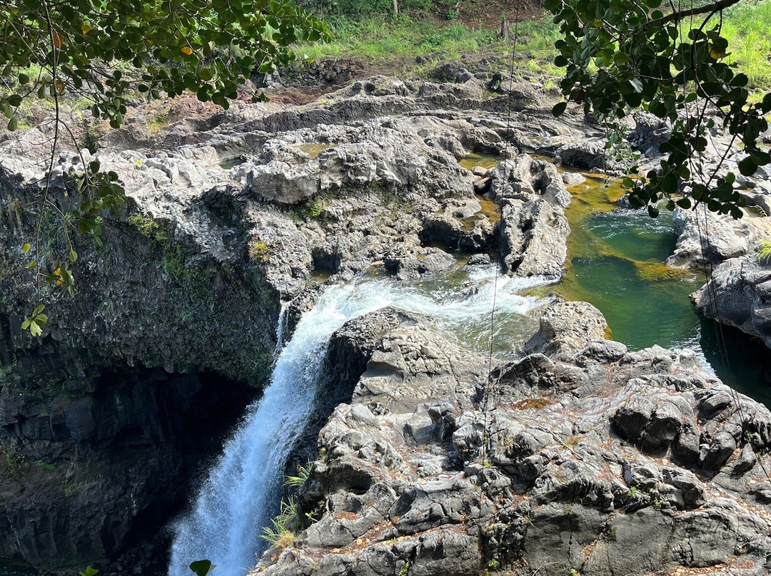 O.k. Farms (the Farm At Rainbow Falls)-希洛必去景点
