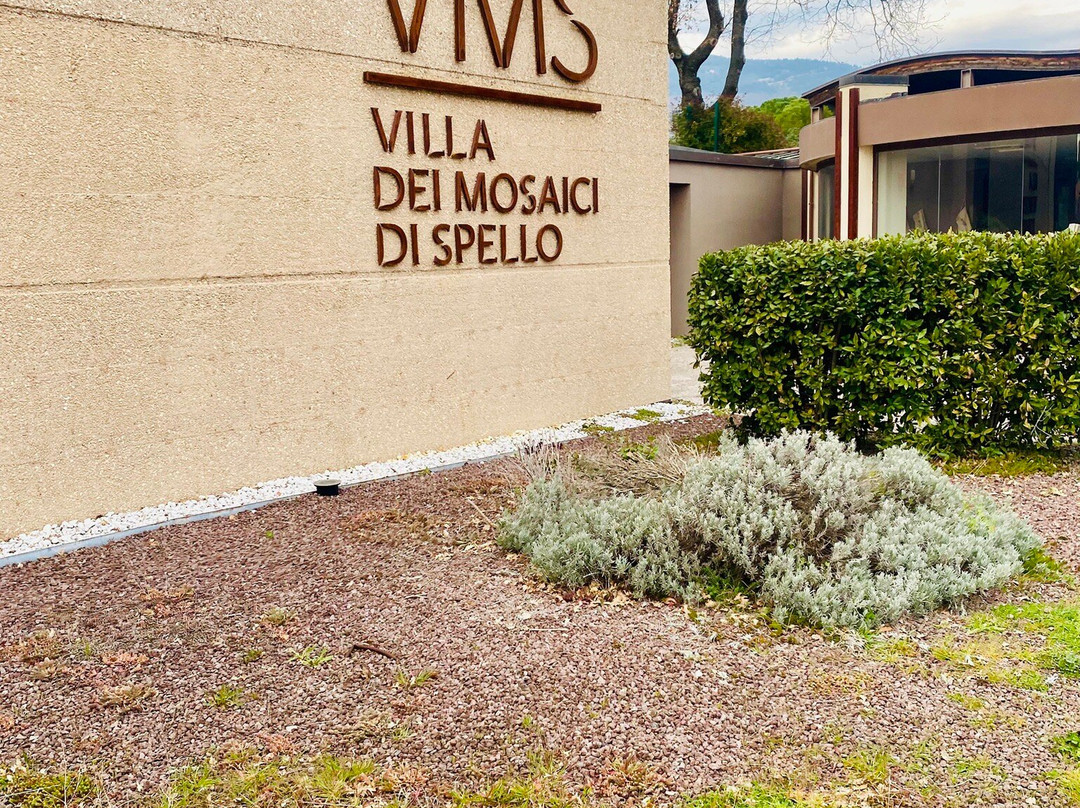 Villa dei Mosaici景点图片