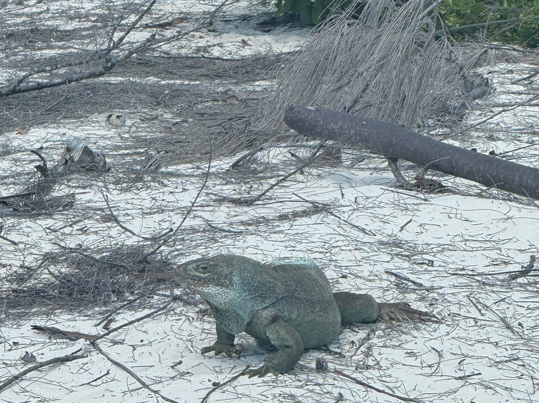 Vitamin Sea Watersports Tci-Long Bay Hills必去景点