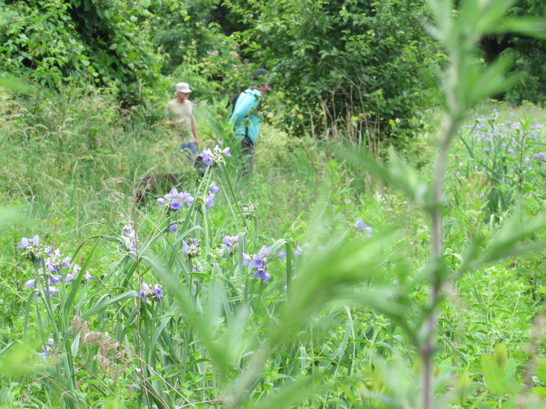 Baldpate Mountain-Titusville必去景点