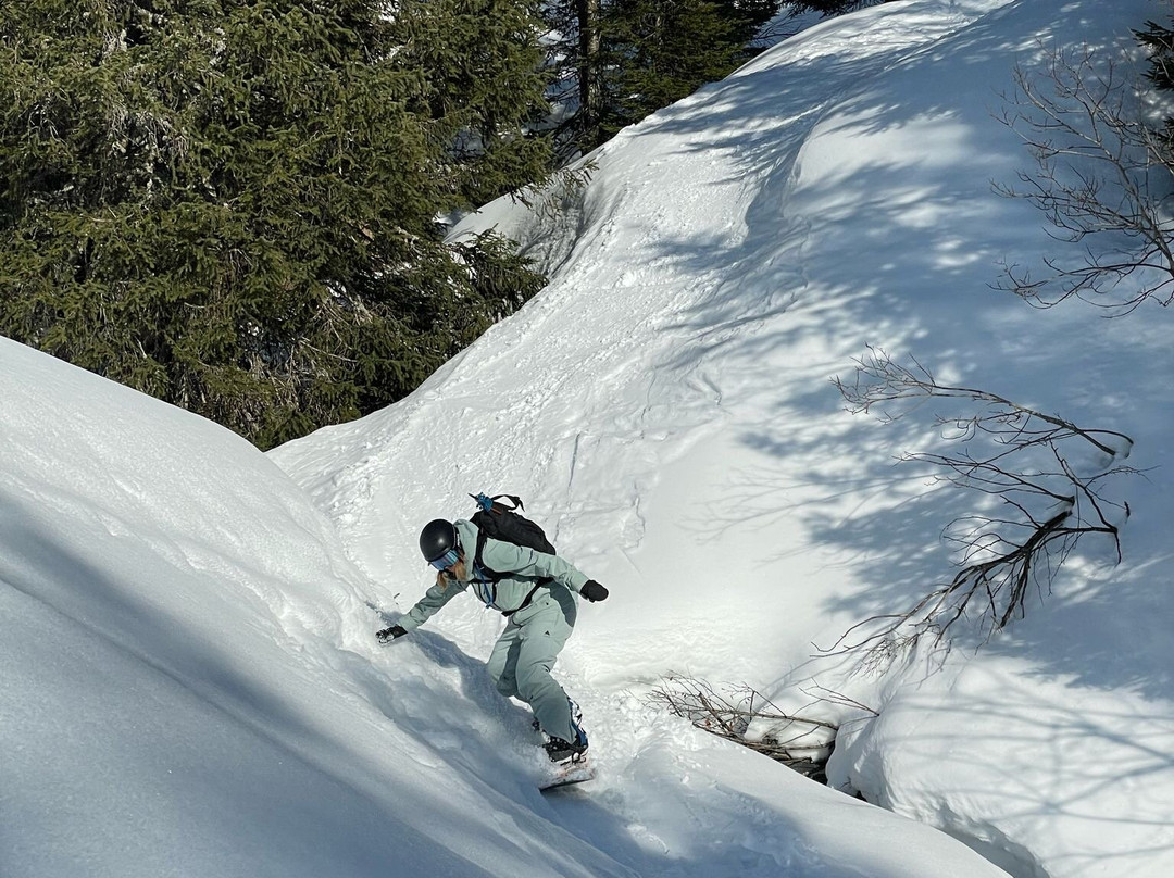 MINT Snowboarding景点图片