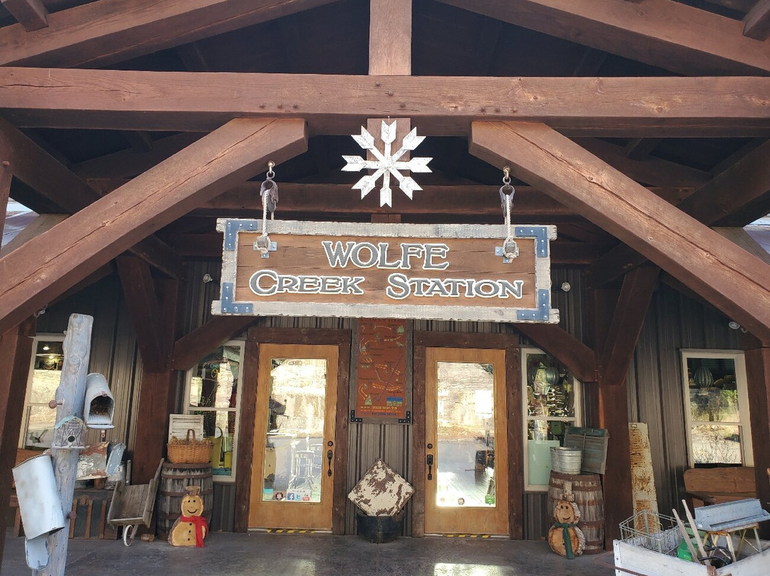 Branson Zipline at Wolfe Mountain景点图片