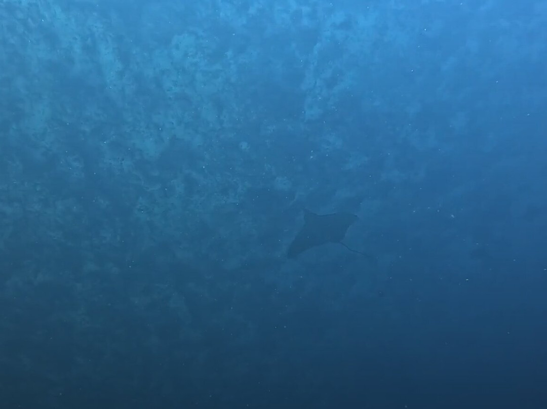 Euro-Divers Meeru景点图片