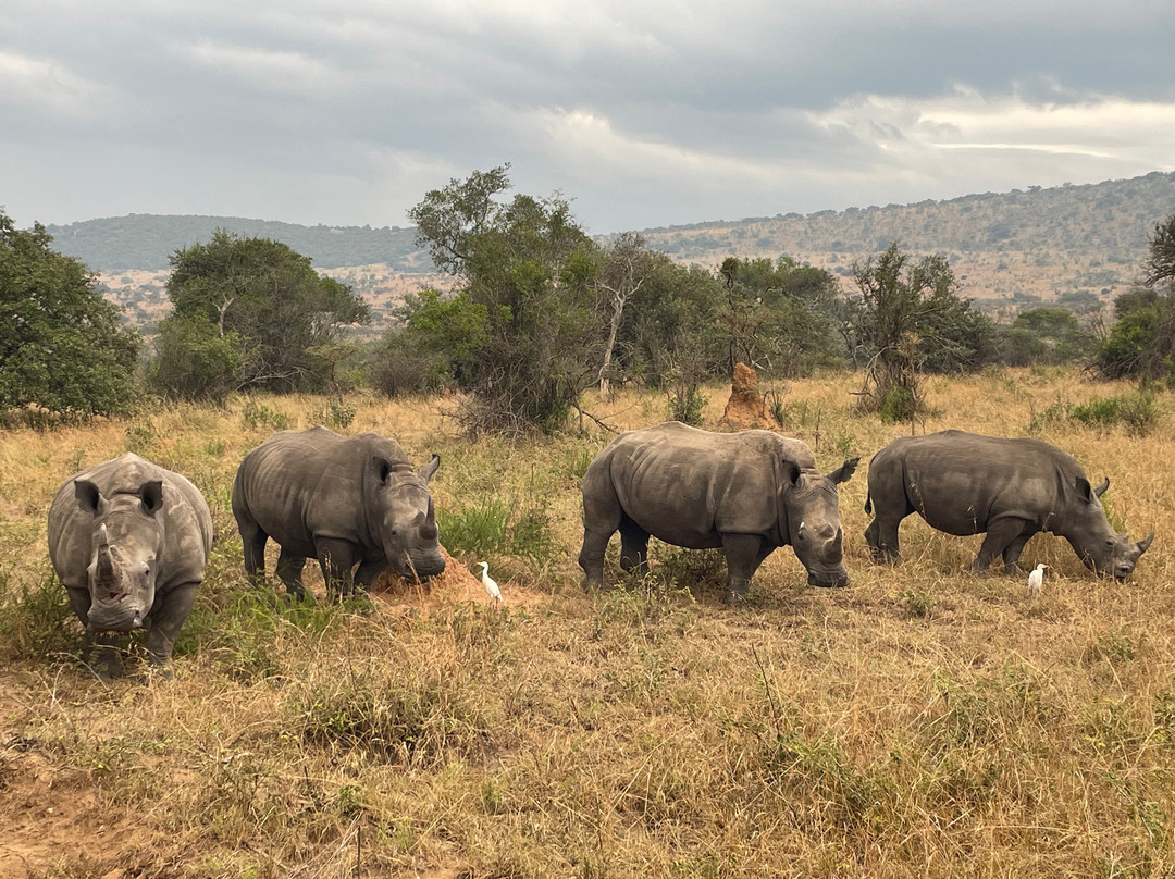 2-Days Akagera Wilderness Experience: Big 5 & Highest peak Camping-Kayonza必去景点