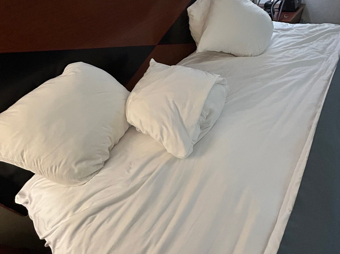 Econo Lodge Troy主图