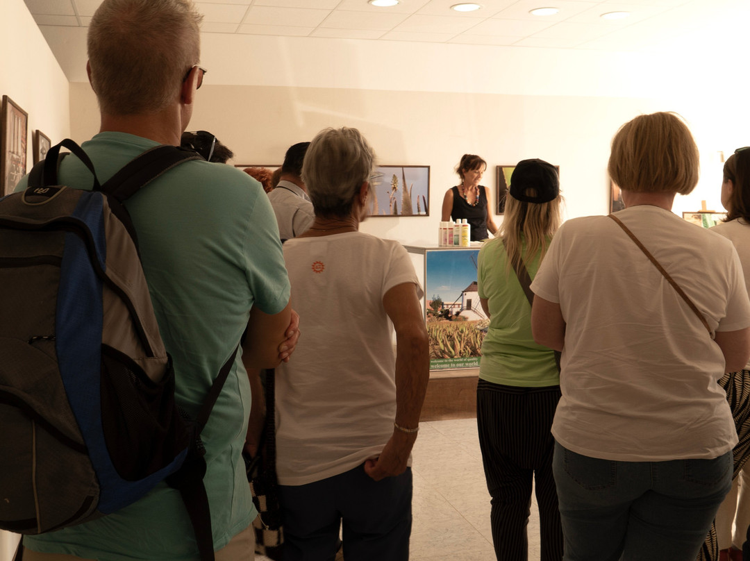 Aloe Vera museum-拉奥利瓦必去景点