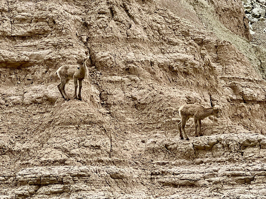 Badlands National Park景点图片
