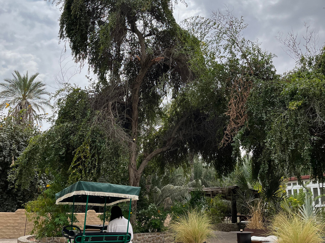 Dadan Tours-阿布扎比必去景点