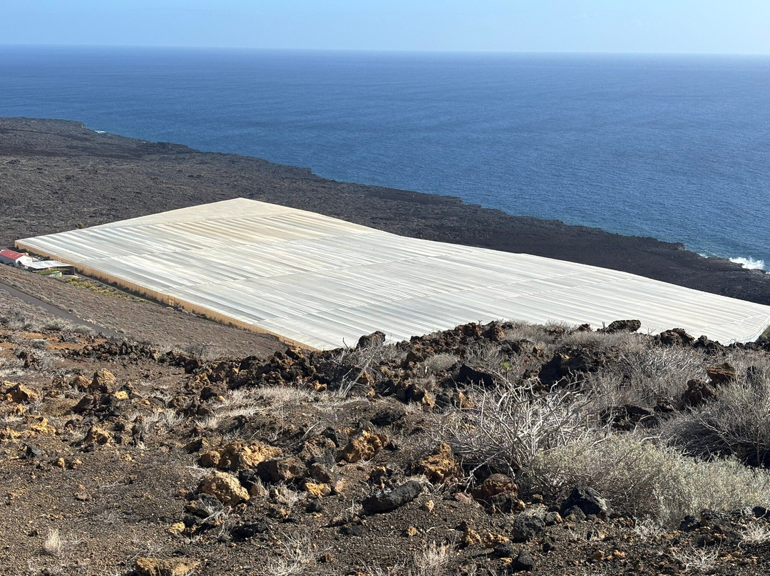 Centro de Buceo El Hierro景点图片