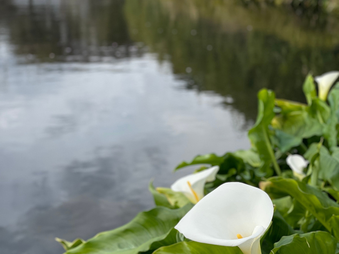 Yusui Park-富士市必去景点