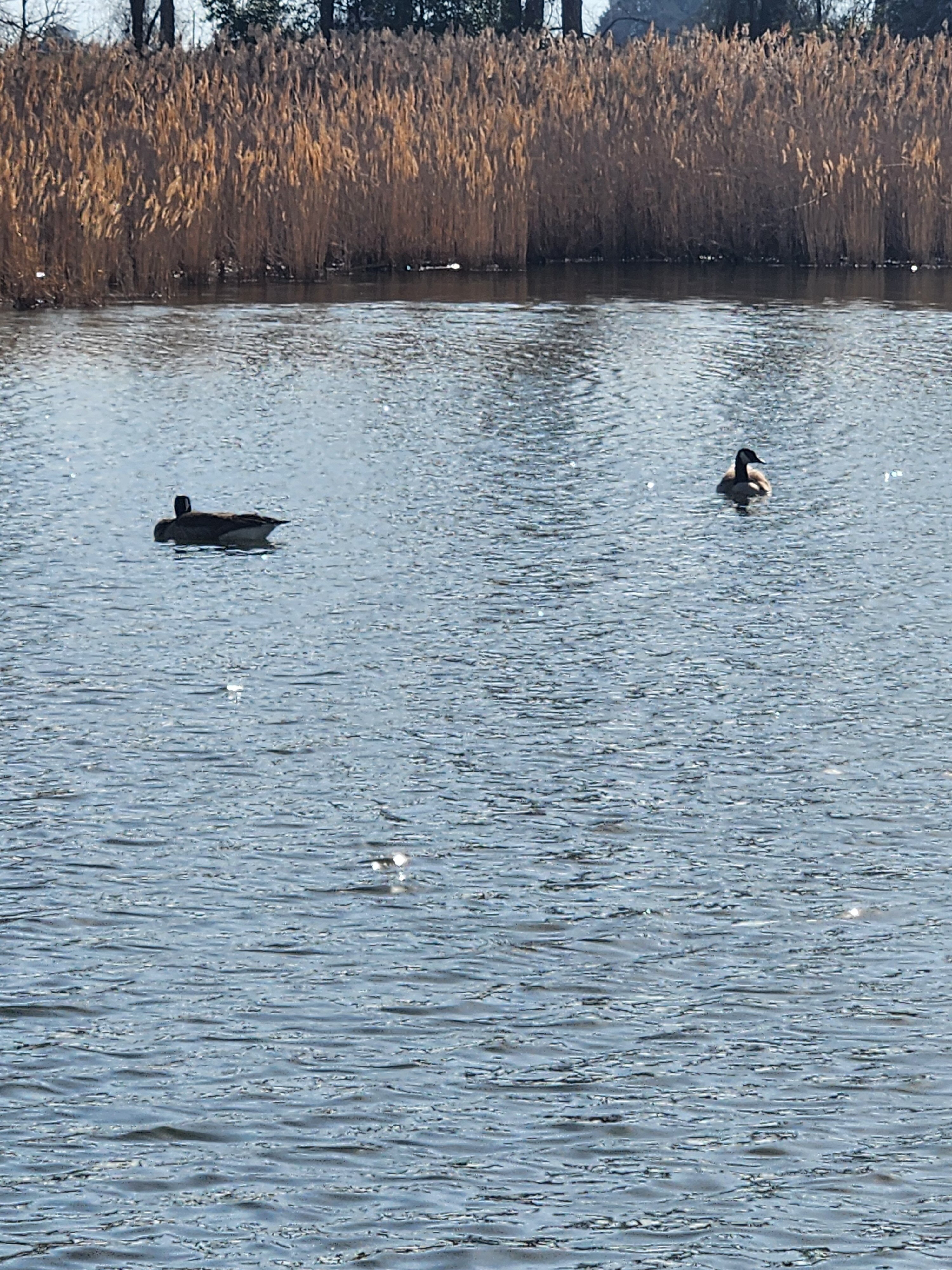 Inn at Huntingfield Creek-官方