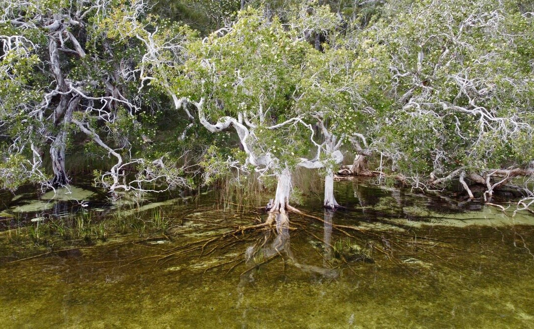 Myall Lakes Getaway Houseboats-Bulahdelah必去景点