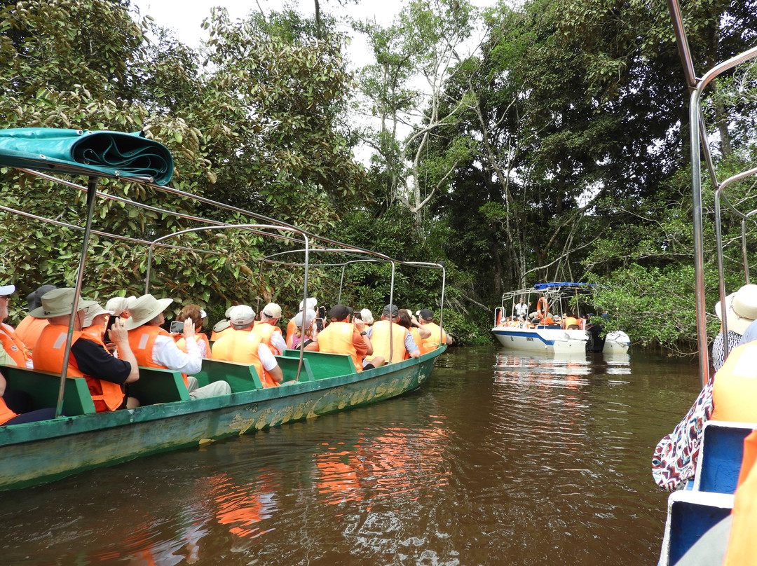 克里亚斯湿地-沙巴必去景点