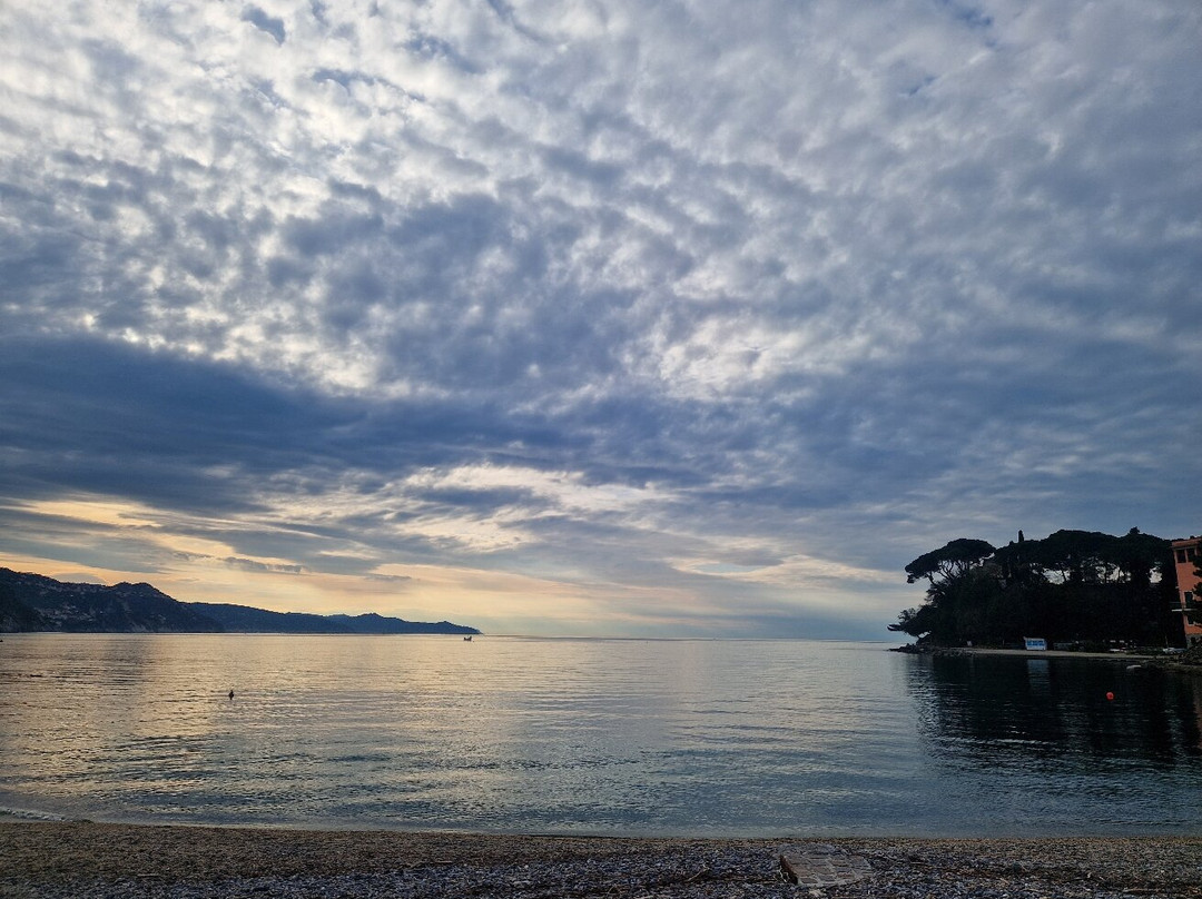 Style Diving-拉帕洛必去景点