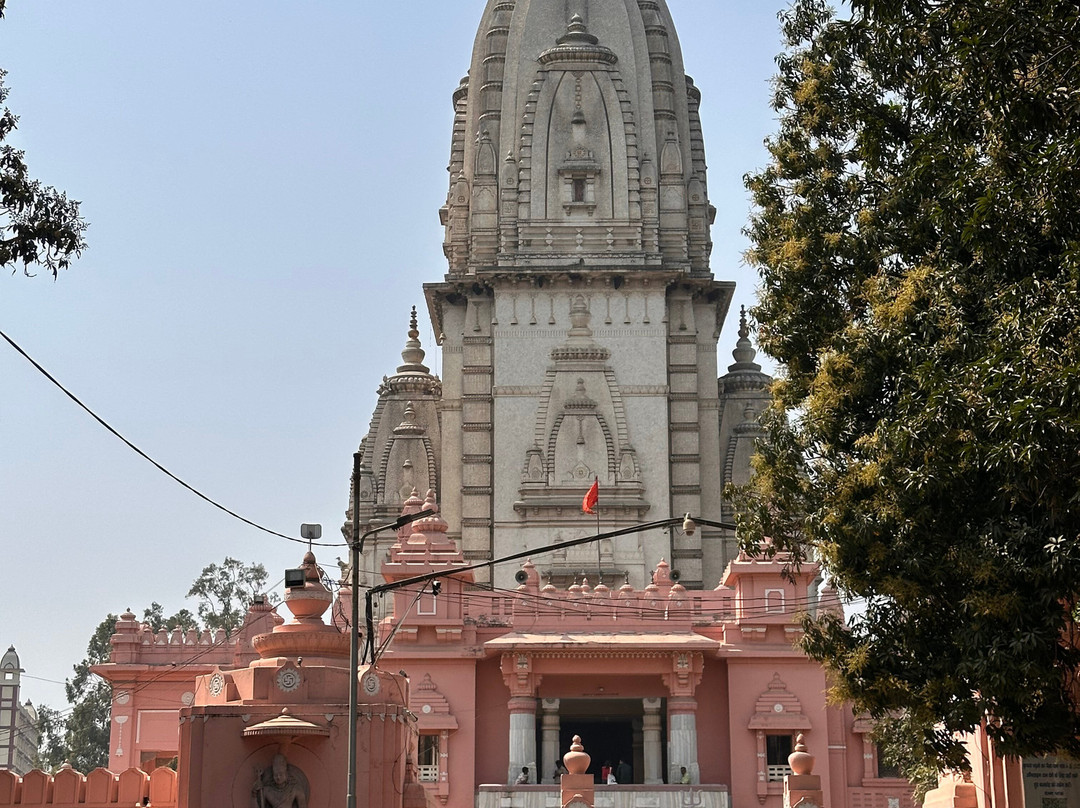 New Vishwanath Temple景点图片