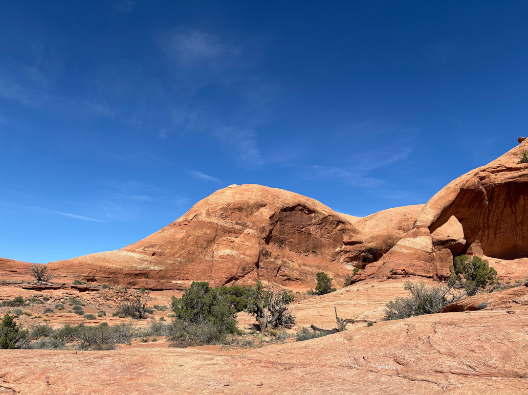 Elevate Outdoors-莫阿布必去景点