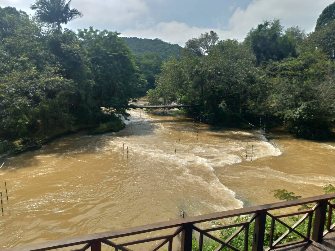 Parque Municipal Recanto do Americo景点图片