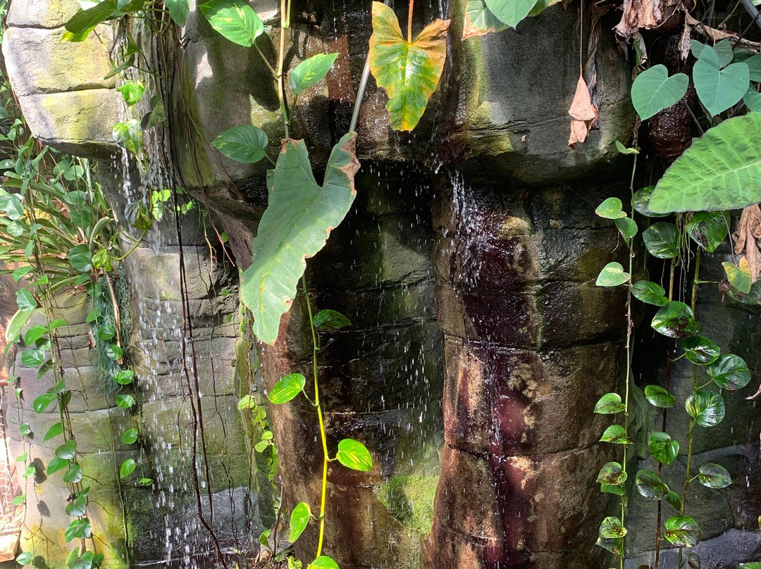 Plantasia Tropical Zoo景点图片