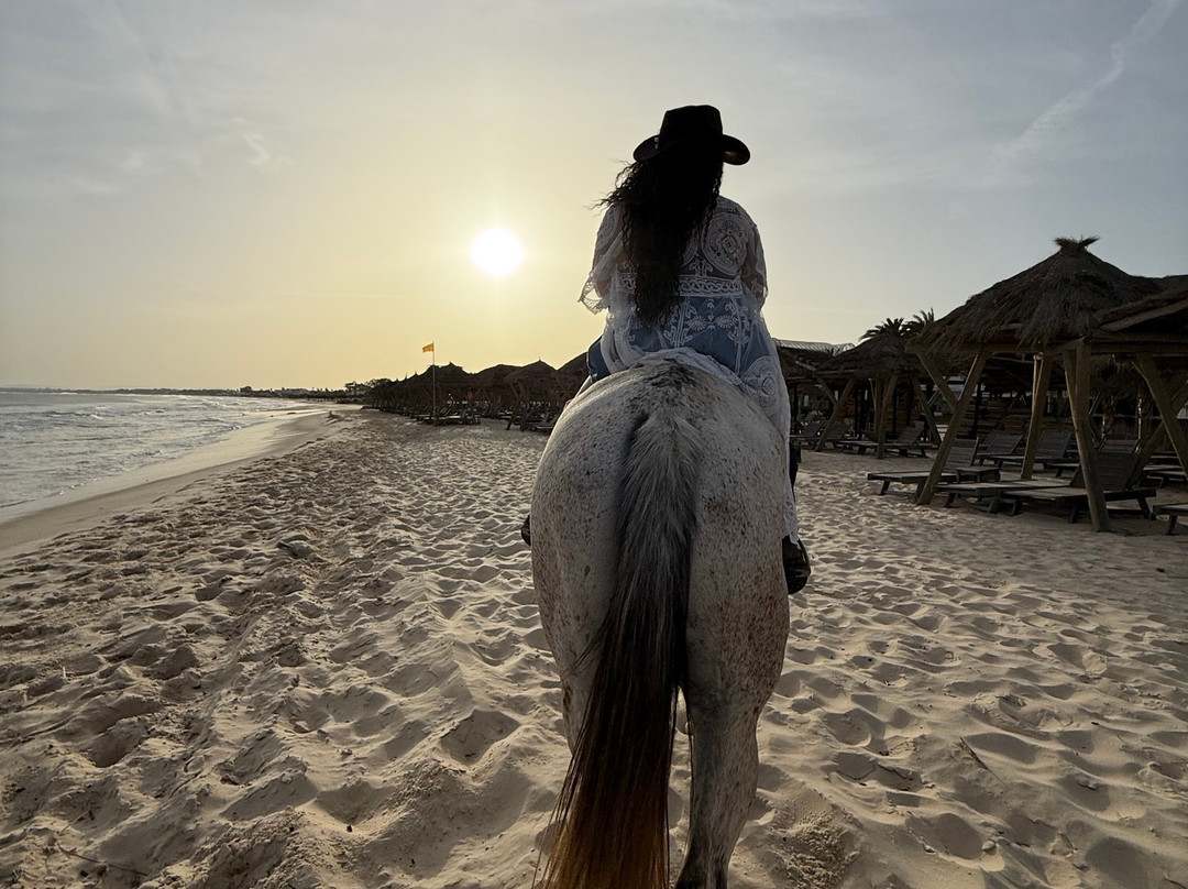 Club Equus Hammamet-哈玛麦德必去景点